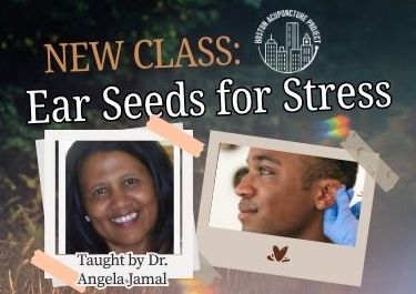 New Class Ear Seed for Stress taught by Dr. Angela Jamal. Image of Dr. Jamal and someone receiving ear seeds.